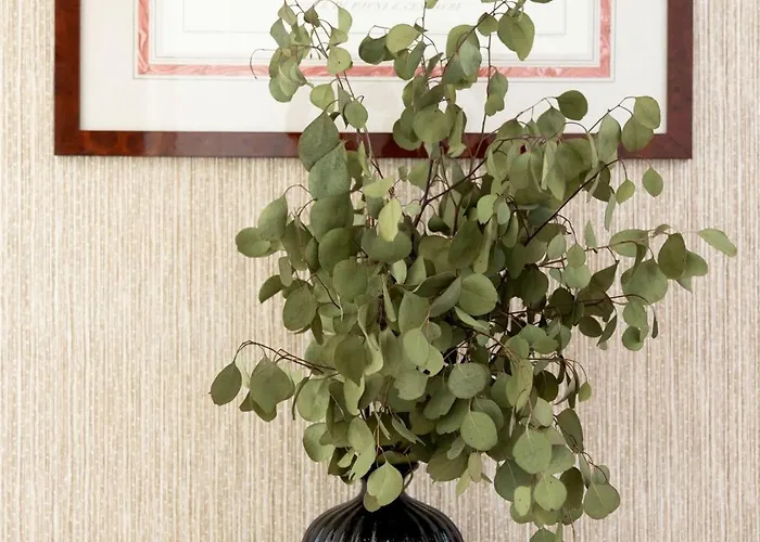 A Janela De Alfama * Bicas